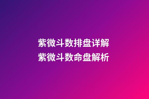 紫微斗数排盘详解 紫微斗数命盘解析